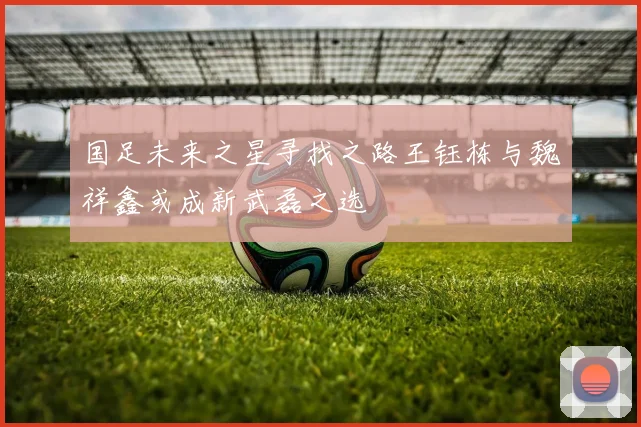 国足未来之星寻找之路王钰栋与魏祥鑫或成新武磊之选